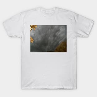 The Calm Before The Storm T-Shirt